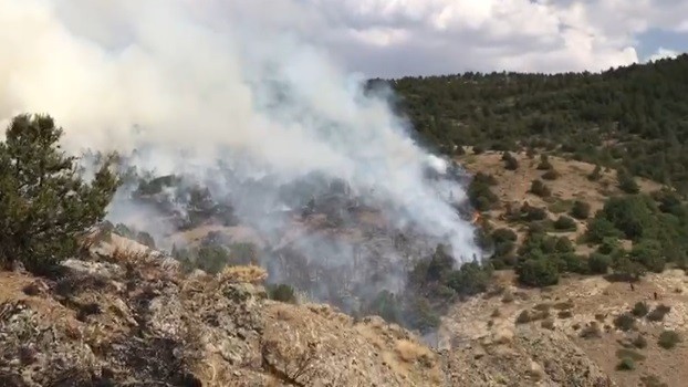 Bayburt'ta orman yangını
